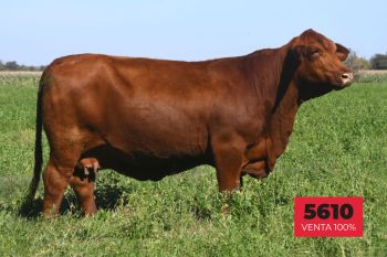 15B